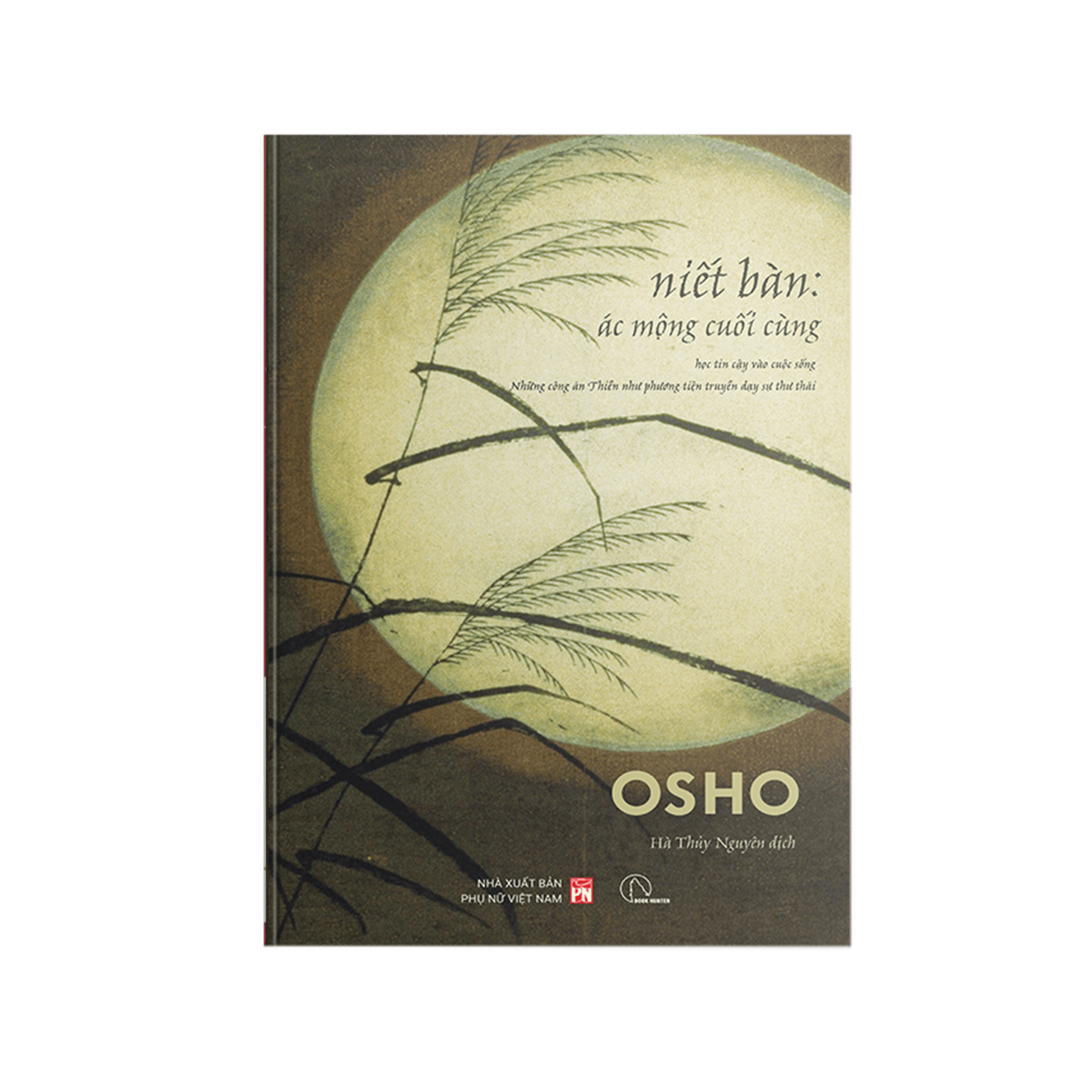 Sách Niết bàn ác mộng cuối cùng học tin cậy vào cuộc sống những công án thiền như phương tiện truyền dạy sự thư thái