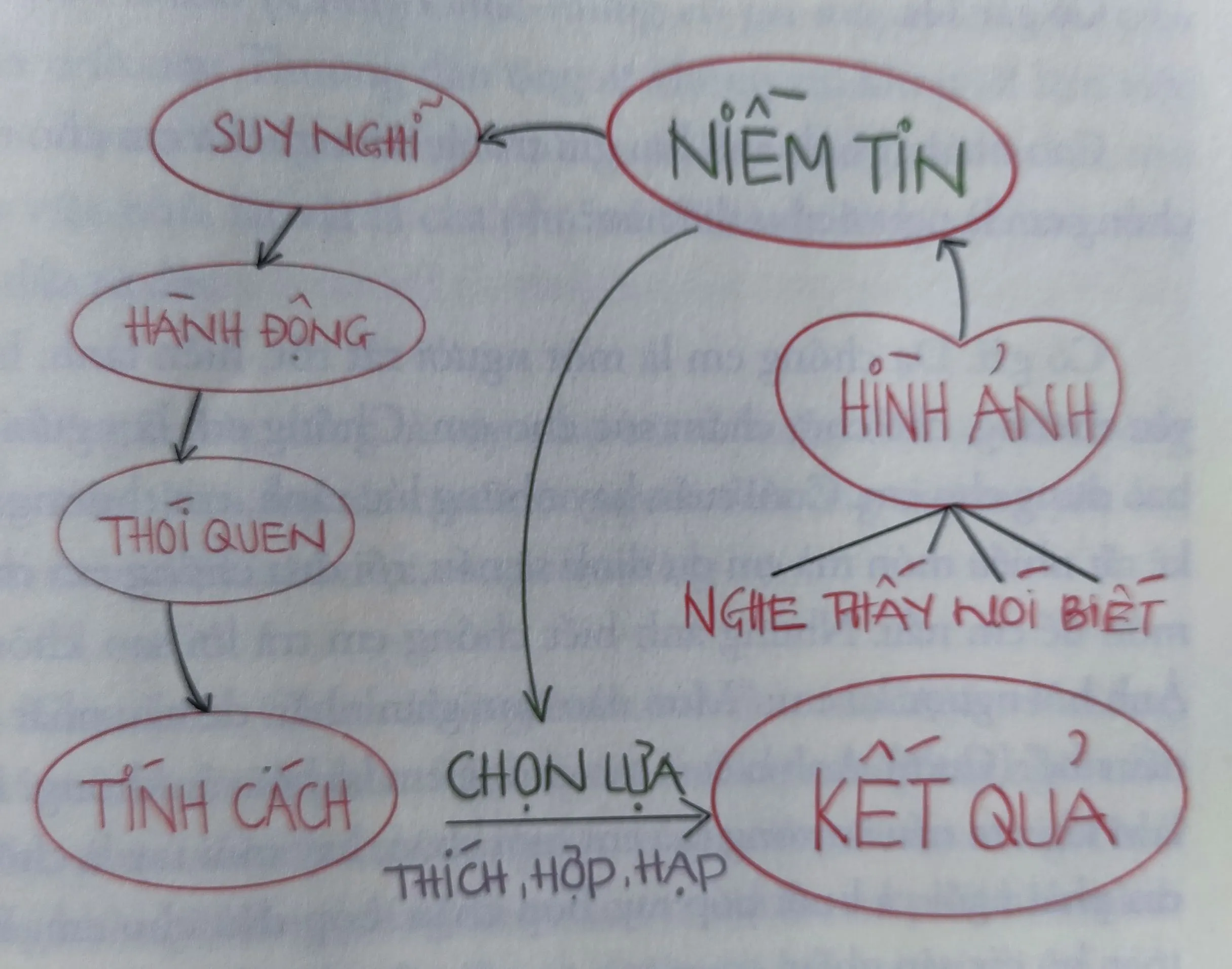 Hình ảnh lựa chọn tượng trưng cho công thức cội nguồn cuộc sống trong sách Làm Chủ Cuộc Đời