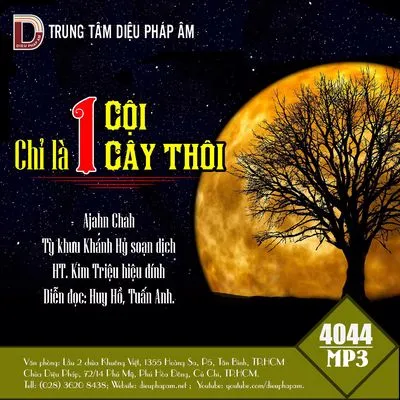 Hình ảnh Thiền sư Ajahn Chah ngồi thiền giữa thiên nhiên