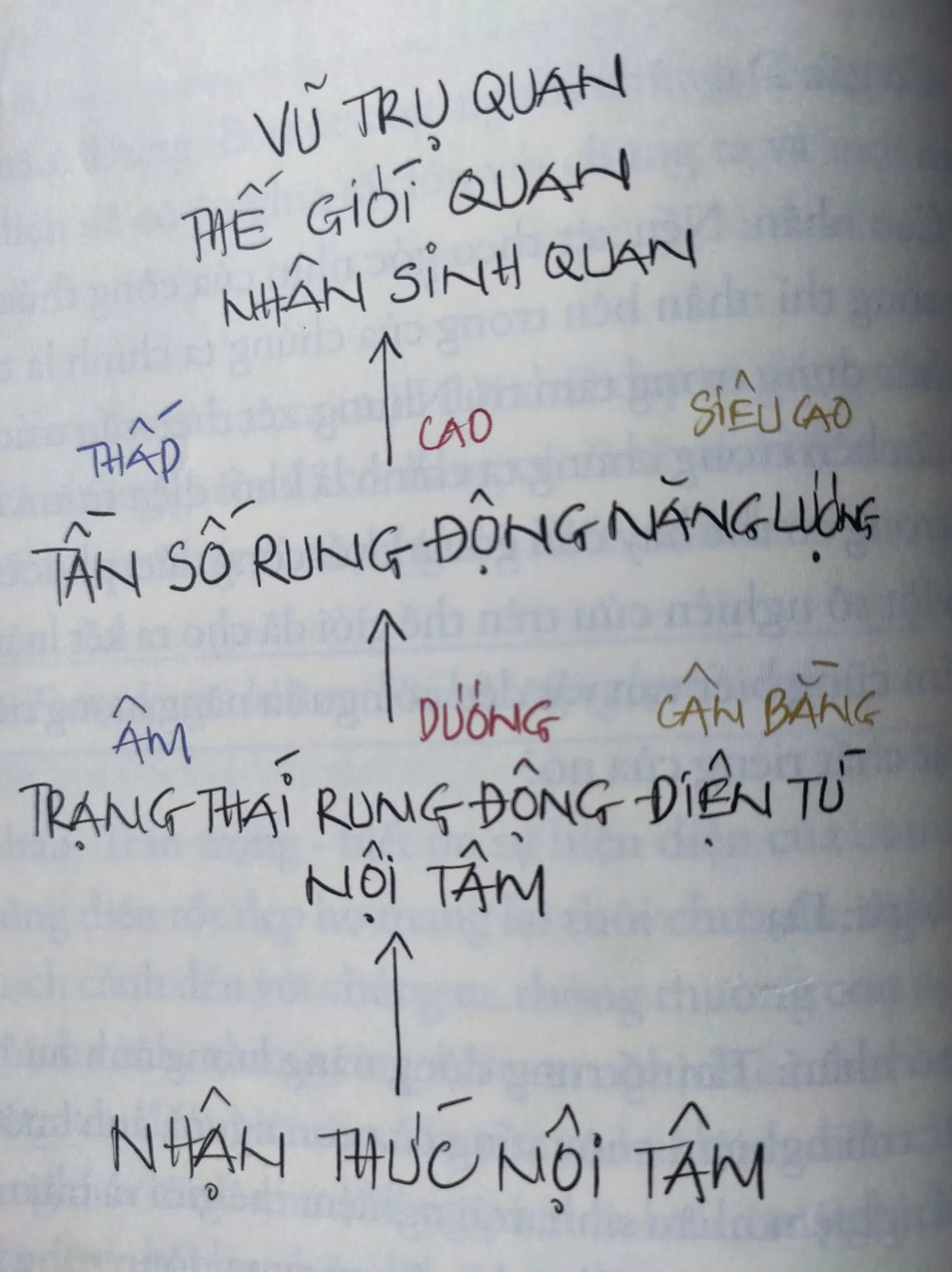 Sơ đồ tần số rung động năng lượng và trạng thái nội tâm ảnh hưởng cuộc sống