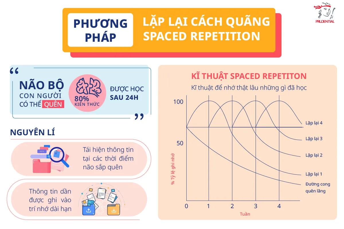 Minh họa phương pháp lặp lại cách quãng Spaced Repetition giúp củng cố trí nhớ