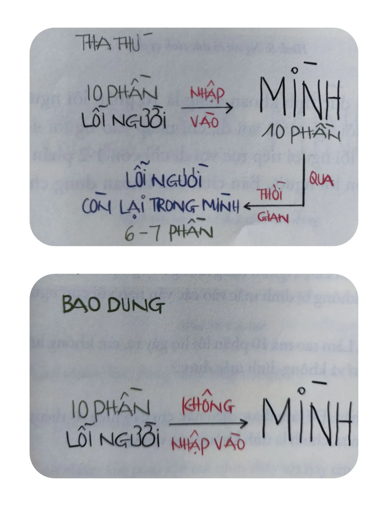 Minh họa về tâm thái bao dung và tình yêu thương vô điều kiện