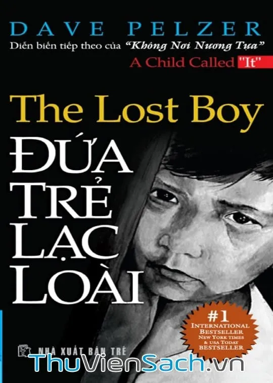Bìa sách Đứa Trẻ Lạc Loài PDF của tác giả Dave Pelzer, câu chuyện cảm động về tuổi thơ bị bạo hành.