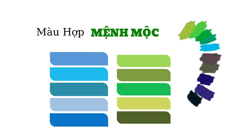 Màu sắc và chất liệu hợp phong thủy cho người mệnh Mộc
