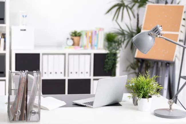Bố trí bàn làm việc tuổi Sửu 2025 với chậu cây xanh nhỏ để thu hút may mắn