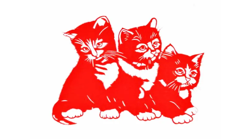 Hướng dẫn bố trí bàn làm việc phong thủy cho người tuổi Mão