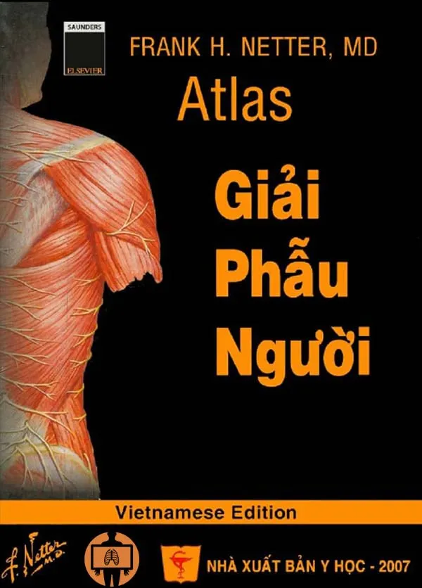 Một trang ví dụ từ atlat giai phau pdf Netter tiếng Việt với hình ảnh chi tiết