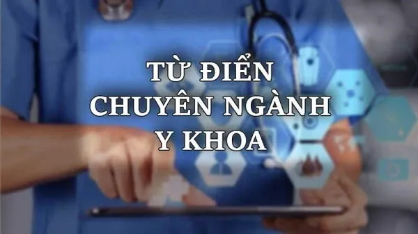Người dùng đang tra cứu từ điển y khoa Anh Việt PDF trên laptop phục vụ học tập và nghiên cứu