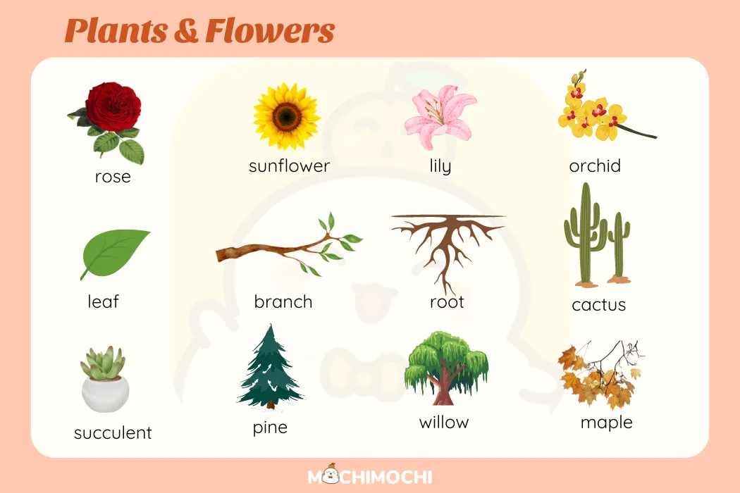 Bộ từ vựng tiếng Anh về các loài cây và hoa đẹp file PDF