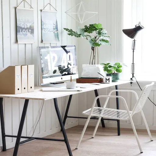Chậu cây xanh nhỏ được đặt trên bàn làm việc giúp thanh lọc không khí