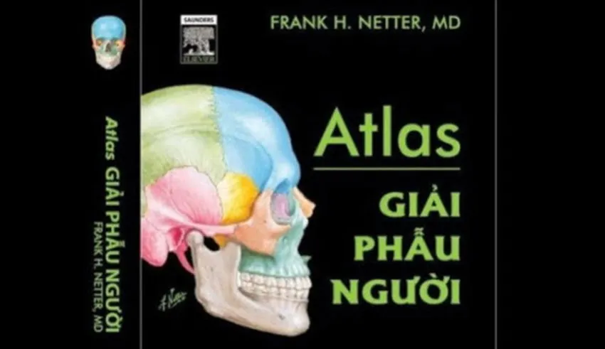 Bìa sách Atlat giải phẫu người Netter PDF, tài liệu y khoa trực quan
