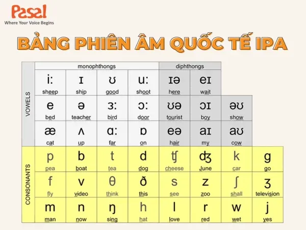 Bảng phiên âm quốc tế IPA, công cụ học ngữ âm căn bản cho người bắt đầu