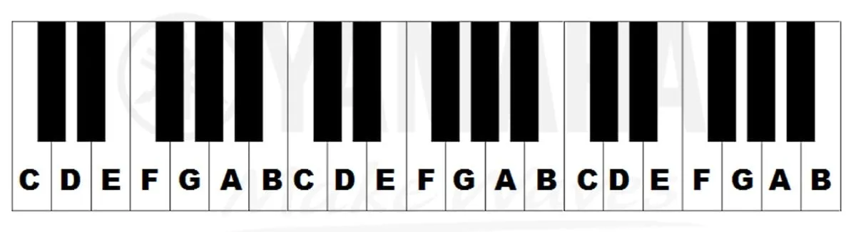 Sơ đồ vị trí các nốt nhạc cơ bản trên phím đàn piano dành cho người mới học