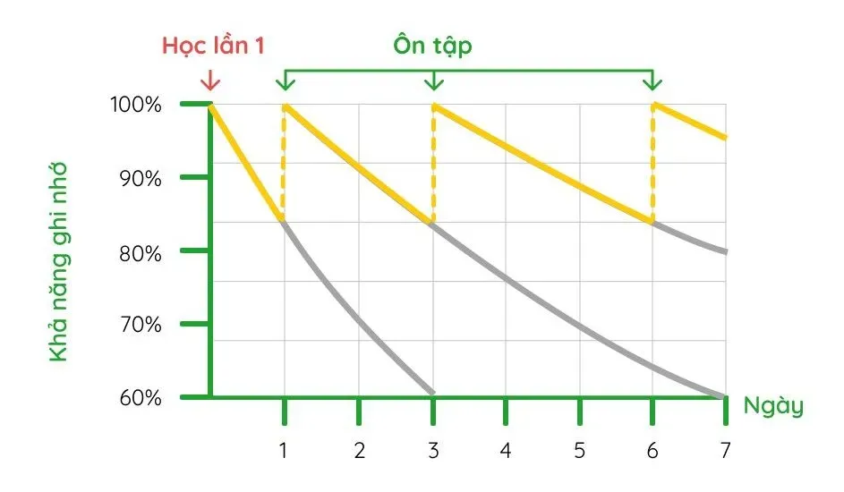 Phương pháp Spaced Repetition và tính năng Thời điểm Vàng MochiVocab hỗ trợ học từ vựng từ sách PDF hiệu quả