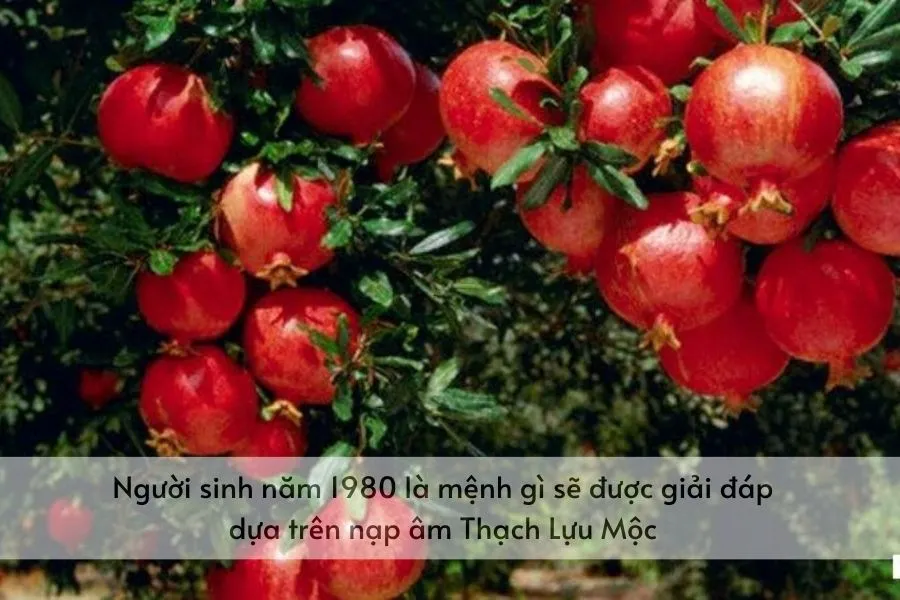 Giải thích mệnh Thạch Lựu Mộc cho người sinh năm 1980 Canh Thân