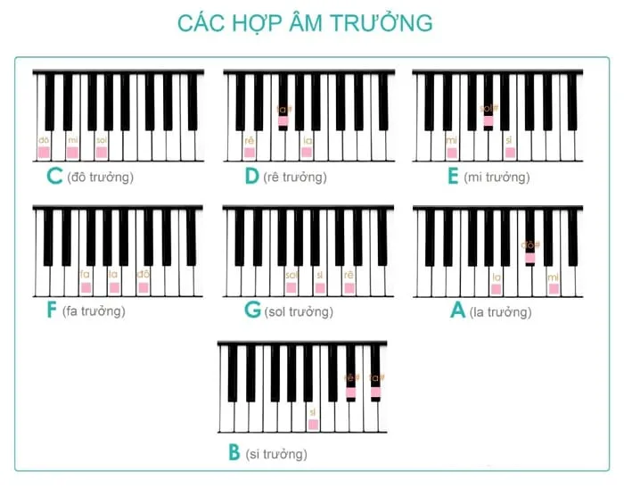Minh họa các hợp âm trưởng cơ bản thường có trong tài liệu 1.000 hợp âm cho đàn organ và piano 2024 PDF
